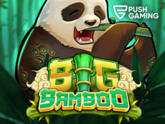 Free casino slot games with bonus rounds download33